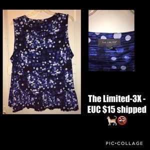 The Limited Pleated Hem Top